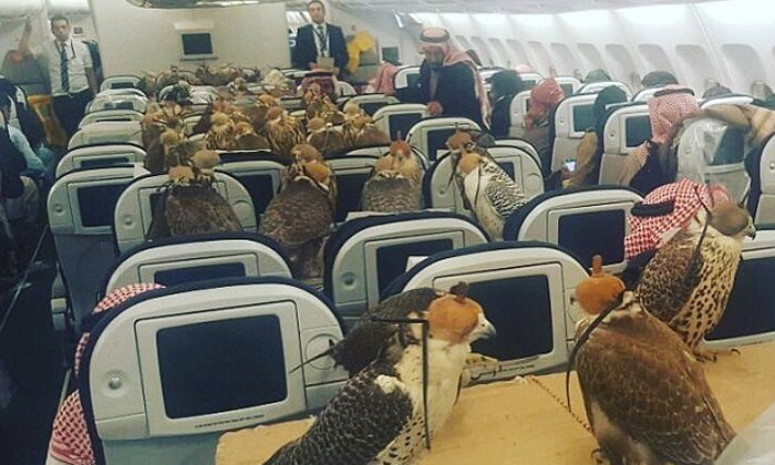 aHR0cDovL3BlMi5pc2Fub29rLmNvbS9ucy8wL3VkLzQzMi8yMTYxNTYyL2MzLmpwZw==