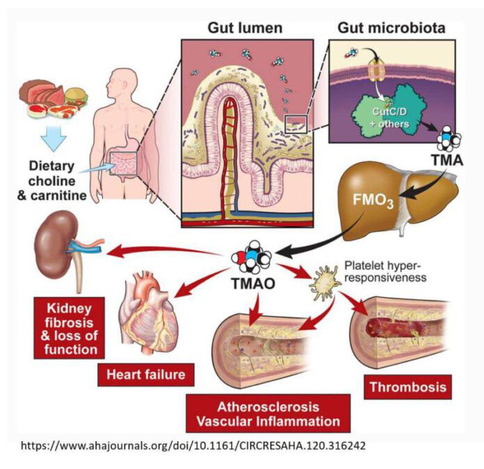 297319551_601361858026258_1537780204383463566_n
