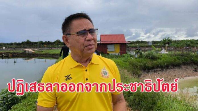 IMG_20241111_090023_01