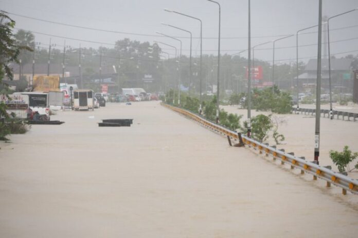 588408745_1436636308034165_7520820935077099410_n