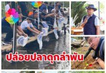 สื่ออาวุโสจัดกิจกรรมปล่อยปลาดุกลำพัน คืนถิ่นป่าพรุควนเคร็ง เพาะพันธุ์เป็นอาหารคนคอน