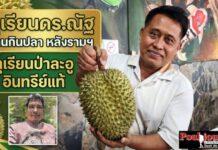 ชิมทุเรียนป่าละอู ดร.ณัฐ ที่ร้านกินปลา หลังม.รามฯ ทุเรียนป่าละอูอินทรีย์แท้